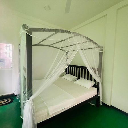 Why Not Backpackers Hostel Mirissa Exterior photo